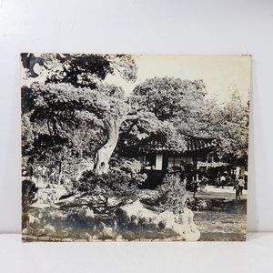 1969 Traditional Korean Temple Koi Pond Trees near Seoul South Korea 9.75x11.75"